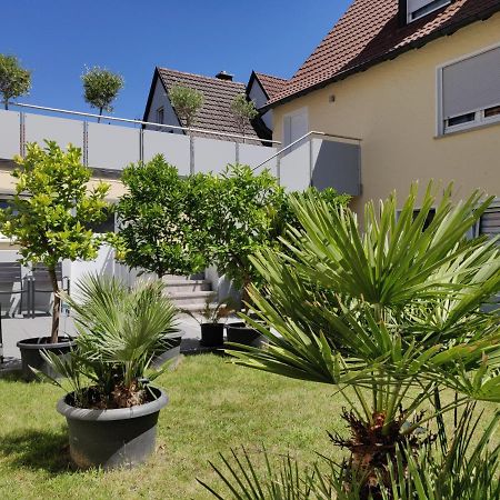Haus Zum Schlosspark فيتسوخهيم المظهر الخارجي الصورة