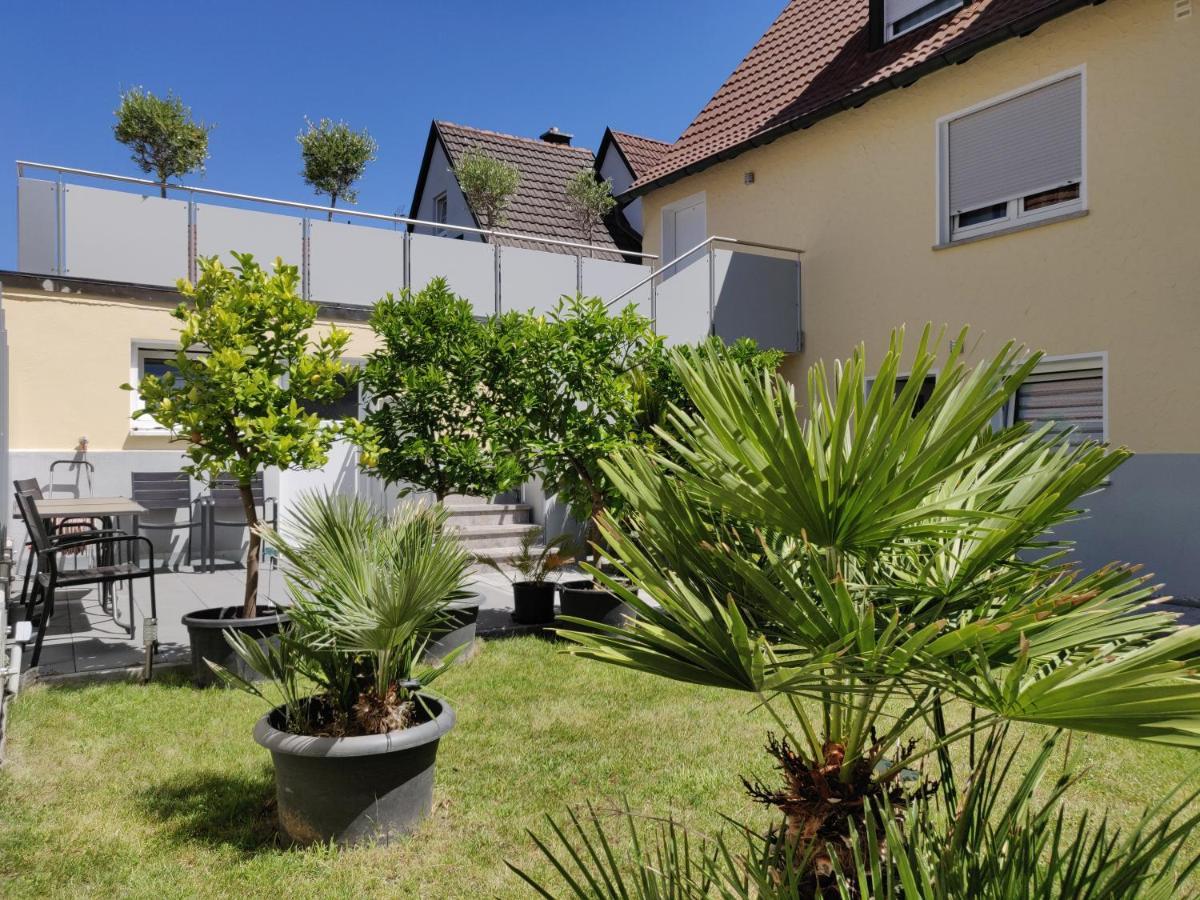 Haus Zum Schlosspark فيتسوخهيم المظهر الخارجي الصورة
